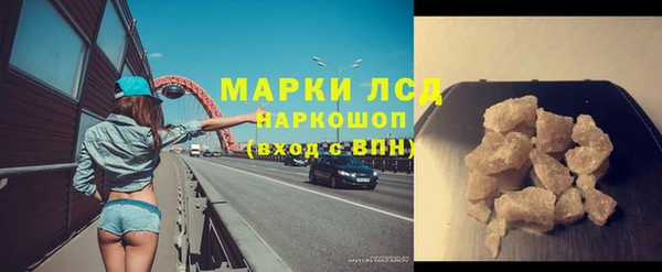 СК Алексин