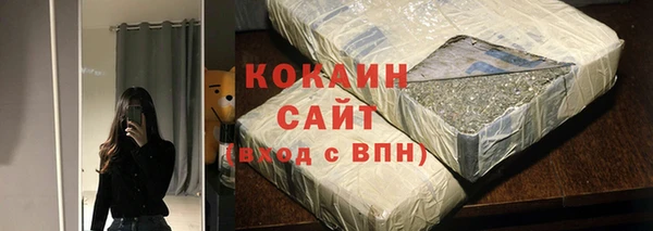 СК Алексин