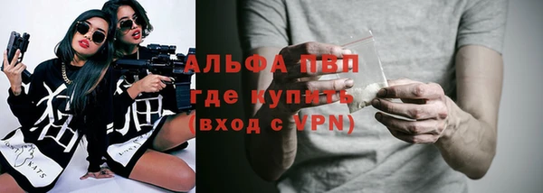 СК Алексин