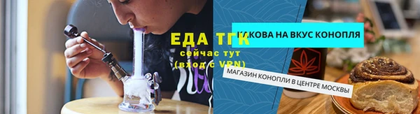 СК Алексин