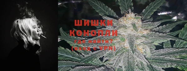 spice Алзамай