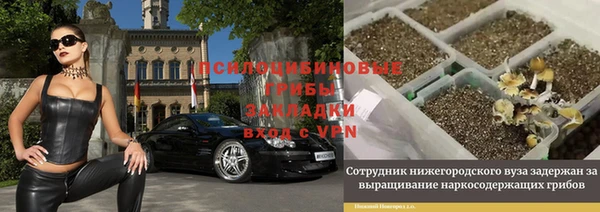 таблы Алексеевка